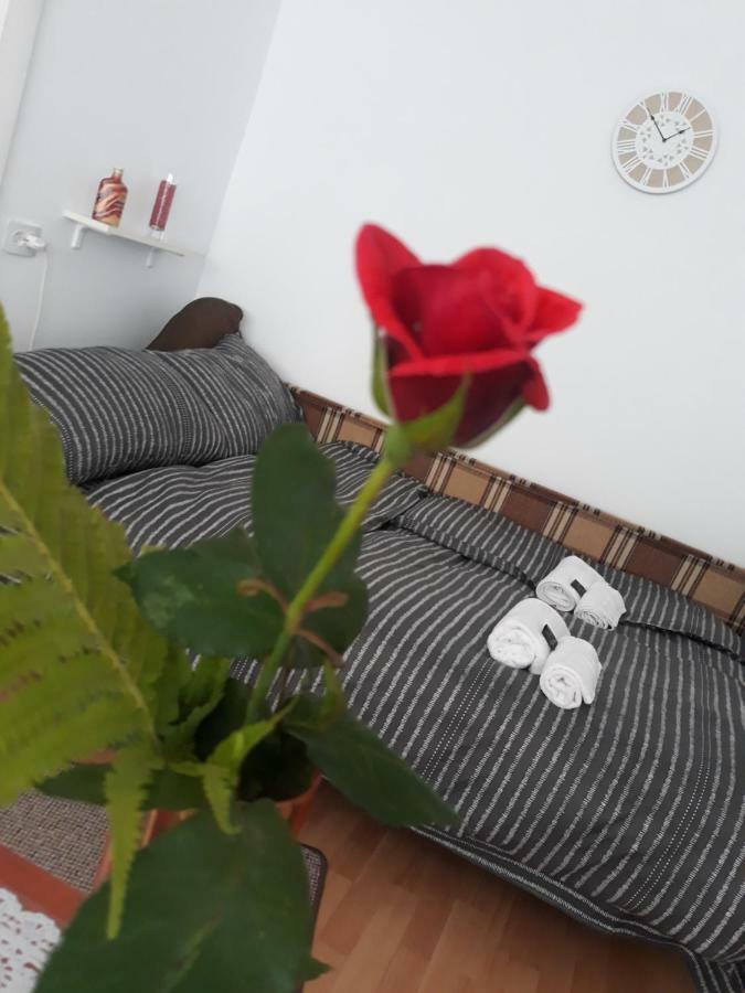투르다 Casa Mara 빌라 외부 사진