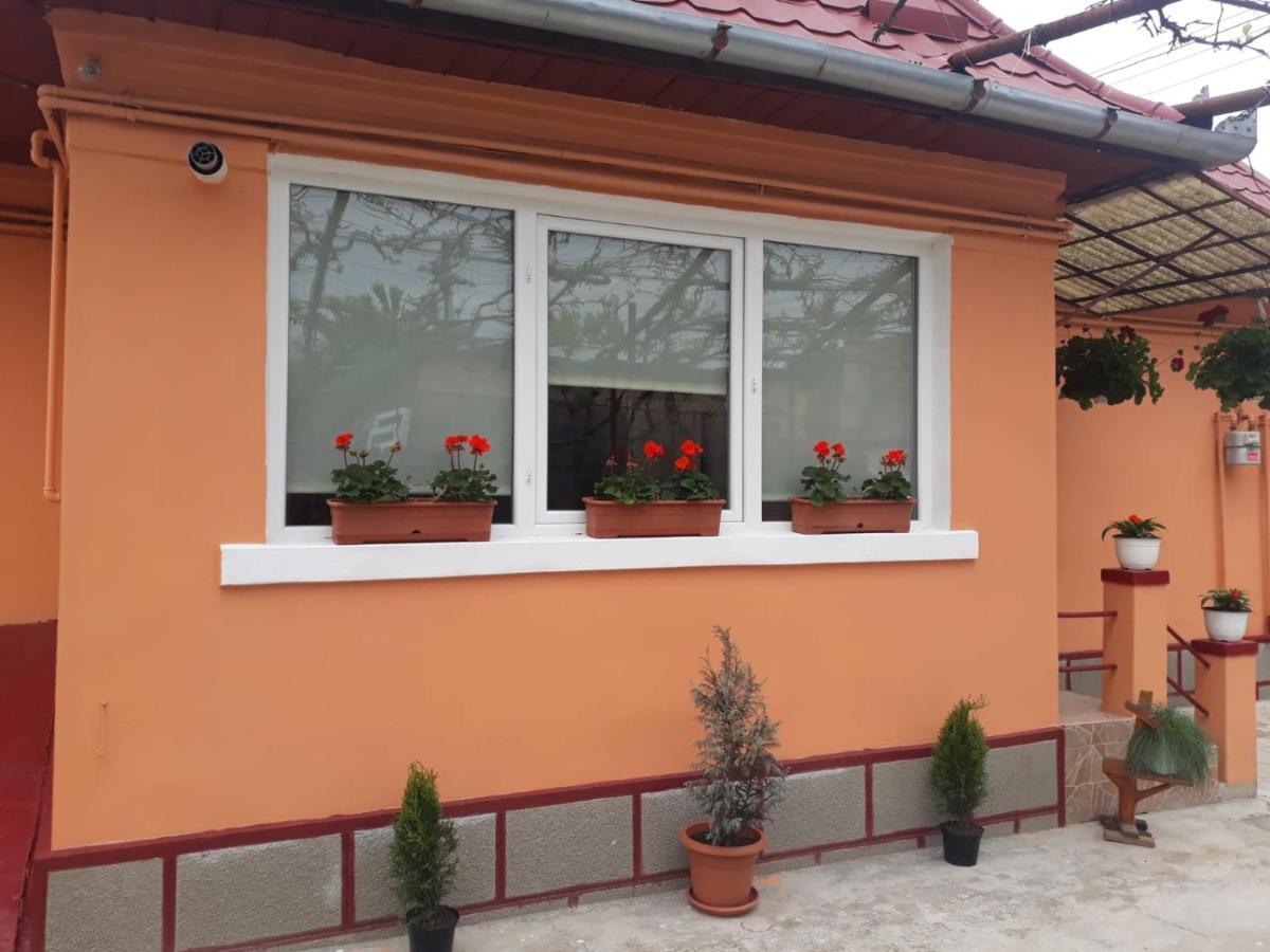 투르다 Casa Mara 빌라 외부 사진